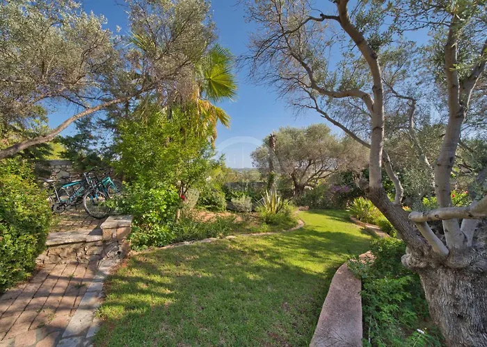 Clementine Villa Porto Cheli